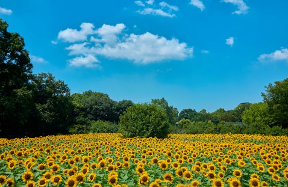 長居公園