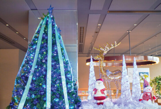【Christmas in Blue】A Sophisticated Holiday Debut at Dorsett by Agora Osaka Sakai