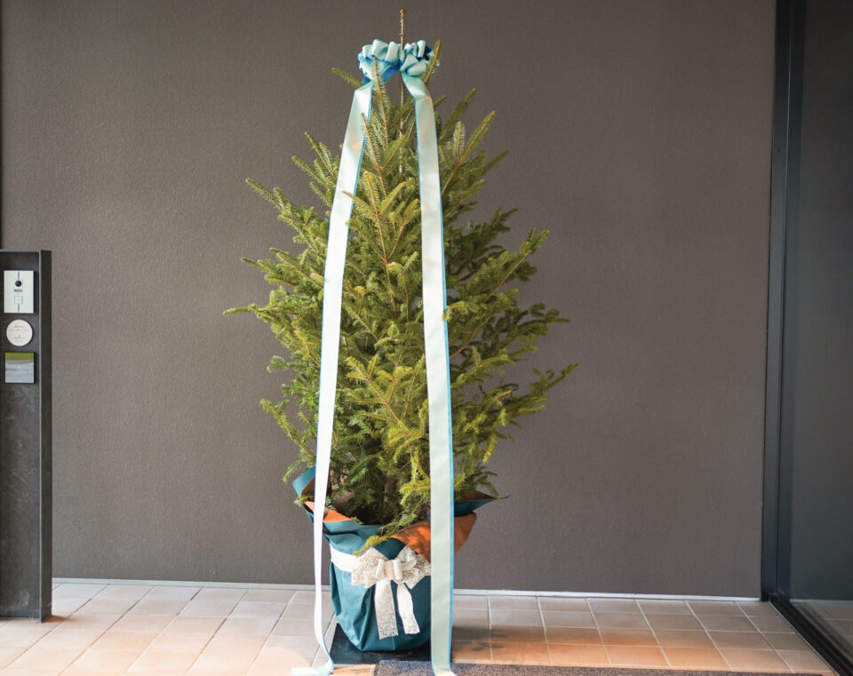 【Christmas in Blue】ドーセット バイ アゴーラ 大阪堺、はじめてのクリスマスシーズンの画像