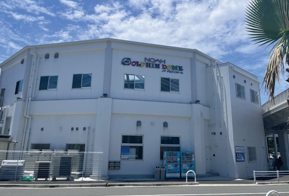 【公式サイト限定】ノアドルフィンドーム入館料無料＆優待券付き宿泊プランの画像