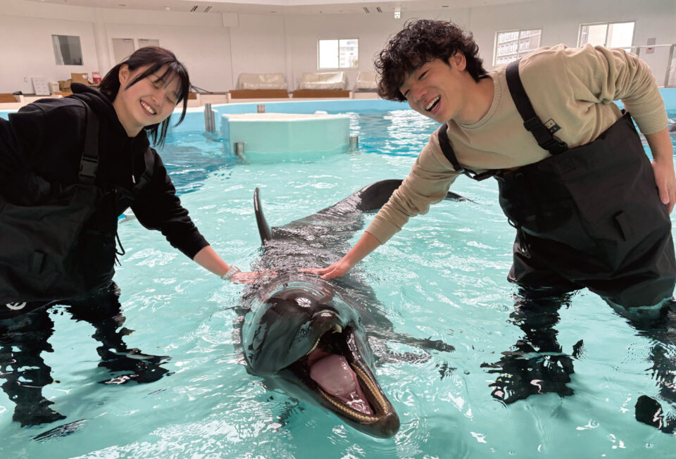 【公式サイト限定】ノアドルフィンドーム入館料無料＆優待券付き宿泊プランの画像