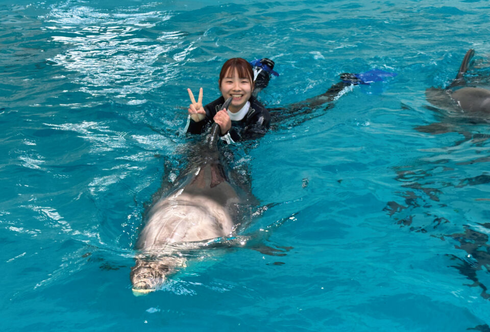 【公式サイト限定】ノアドルフィンドーム入館料無料＆優待券付き宿泊プランの画像